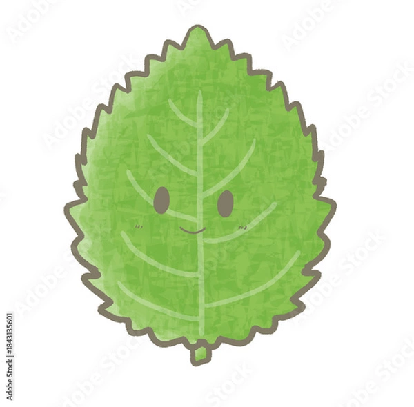 Fototapeta R:もっとメルヘンな野菜☆紫蘇・大葉③