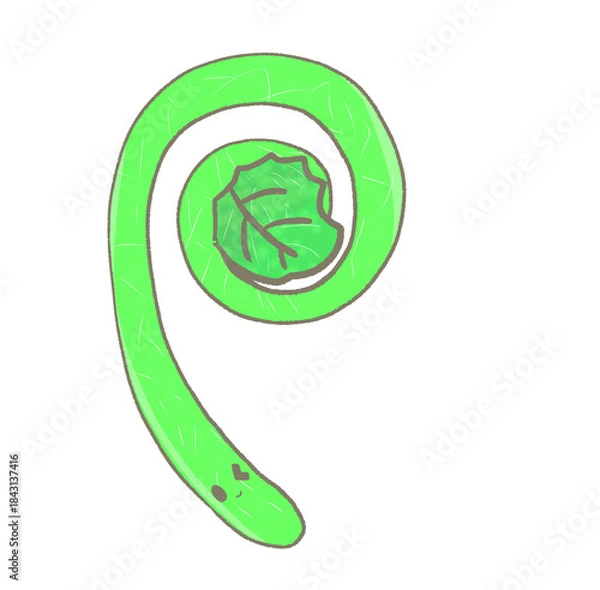 Fototapeta R:もっとメルヘンな野菜☆ぜんまい②