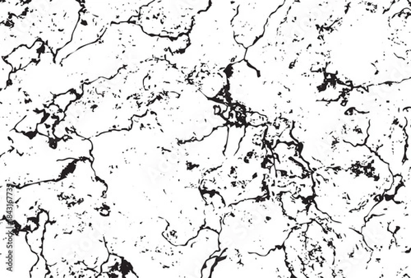 Obraz Abstract black and white crackle texture background pattern