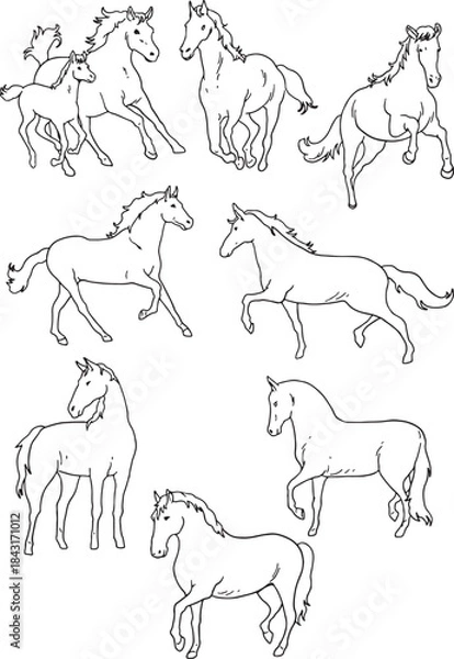 Fototapeta A collection of 9 realistic, detailed horse line art drawings in various dynamic poses, including running, trotting, standing, and a mare with her foal. Perfect for coloring books, outlines.