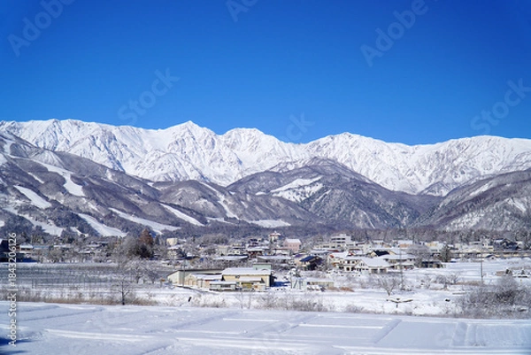 Fototapeta 雪景色の白馬村と北アルプス