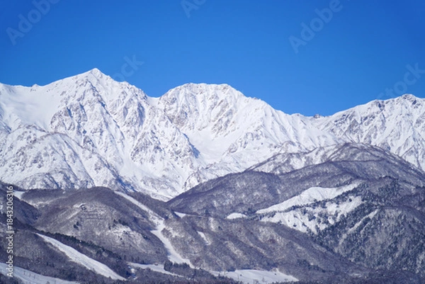 Obraz 雪景色の白馬村と北アルプス