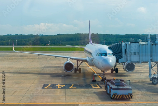 Obraz The passenger airliner arranges passengers through the sleeve at the airport