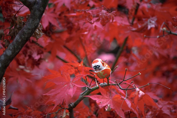 Obraz Small red daruma dolls in Katsuoji Temple in Autumn with red maple leaves at Minoh City, Osaka Prefecture, Kinki Region, Japan.