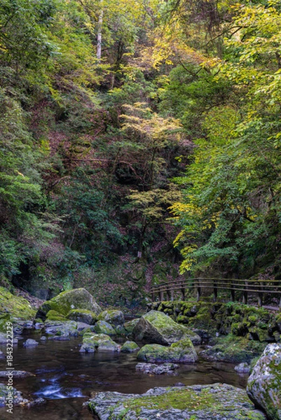 Obraz 三重-【赤目四十八滝（紅葉）】