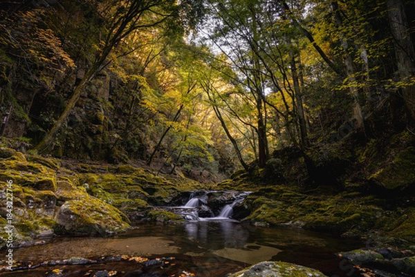 Obraz 三重-【赤目四十八滝（紅葉）】