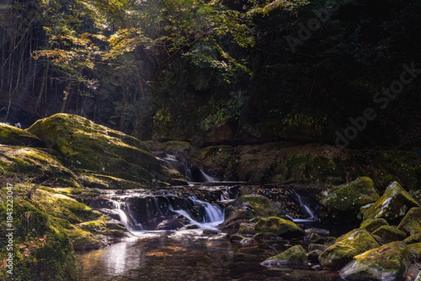 Obraz 三重-【赤目四十八滝（紅葉）】