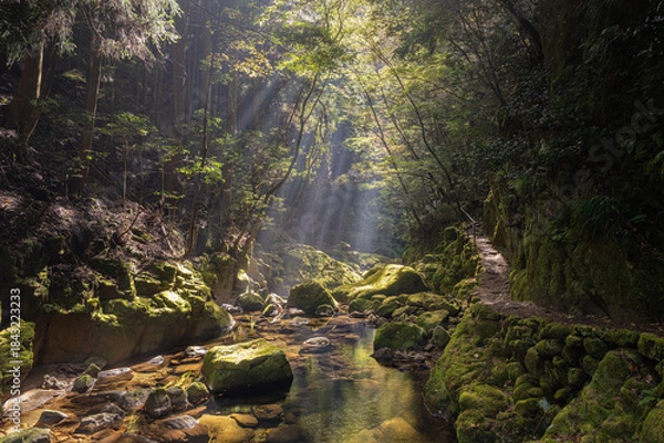 Obraz 三重-【赤目四十八滝（紅葉）】