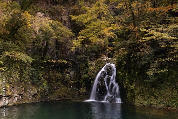 Obraz 三重-【赤目四十八滝（紅葉）】