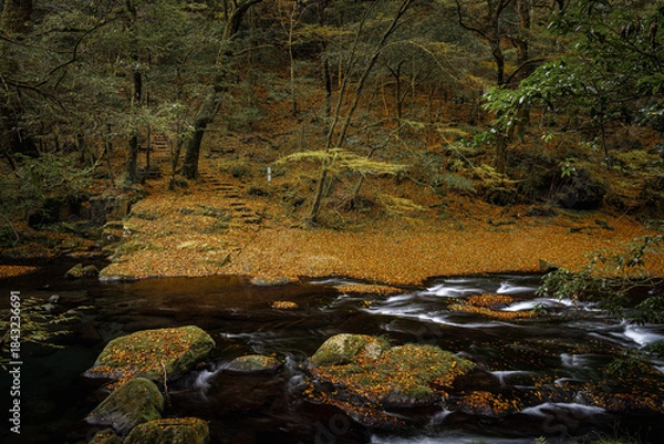Obraz 熊本-【菊池渓谷の紅葉】