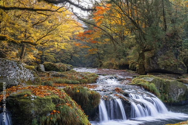 Obraz 熊本-【菊池渓谷の紅葉】