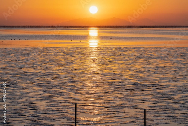 Obraz 佐賀－【鹿島市から見た有明海の夕景】