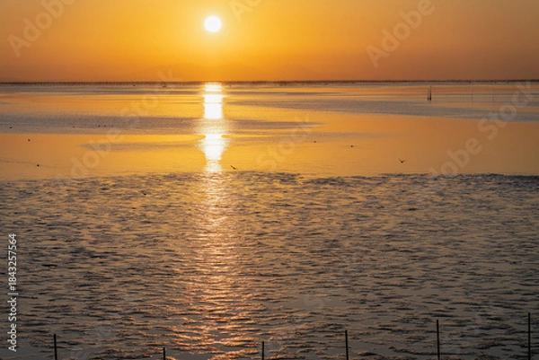 Obraz 佐賀－【鹿島市から見た有明海の夕景】