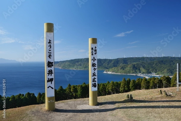 Obraz 宮崎県串間市の都井岬