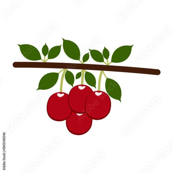 Obraz Vector multi color icons for Cherry