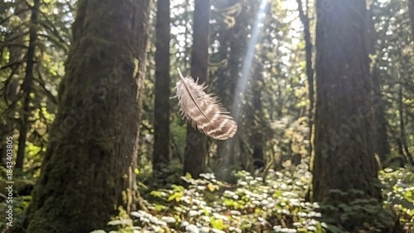 Obraz Serene Forest Scene with Sunlight Filtering Through Trees.
