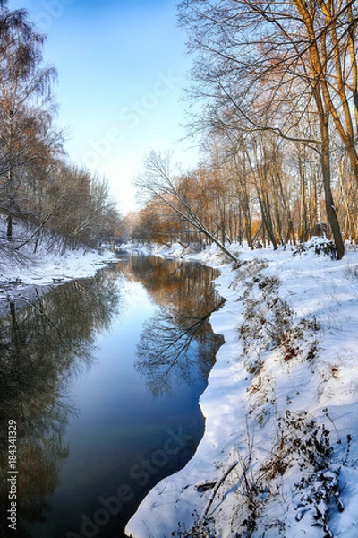 Fototapeta Scenic view of the river and trees in winter
