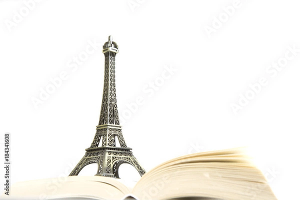 Fototapeta Eiffel tower with book