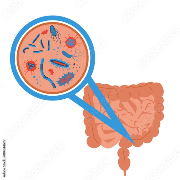 Obraz znak flory jelitowej