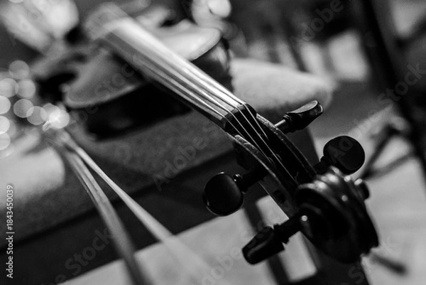 Fototapeta Violin