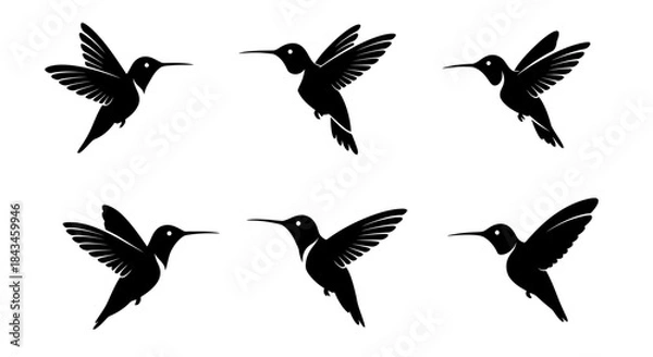 Fototapeta Six black hummingbird silhouettes in different flight poses, isolated on a white background, ideal for graphic design elements.