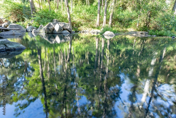 Fototapeta Stream in the forest 