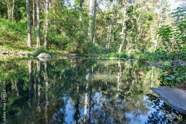 Fototapeta mountain stream