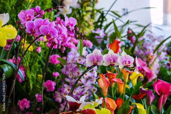 Obraz ドライブ途中の道の駅で見つけた立春の頃の色鮮やかな光景