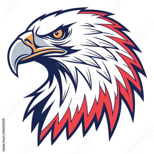 Fototapeta American bald eagle vector illustration