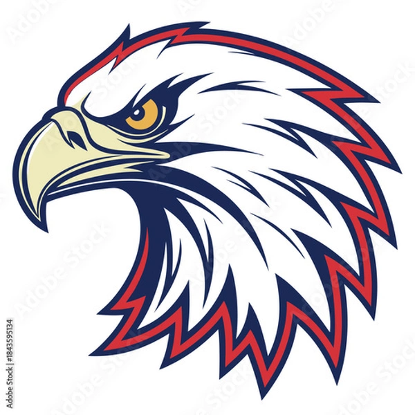 Fototapeta American bald eagle vector illustration