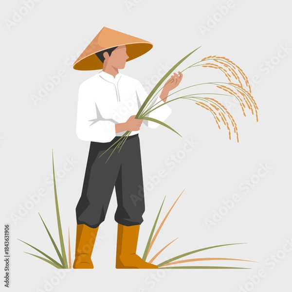 Fototapeta A farmer dressed in traditional clothes stands in a field, holding stalks of rice, symbolizing hard work and connection to agriculture and nature.