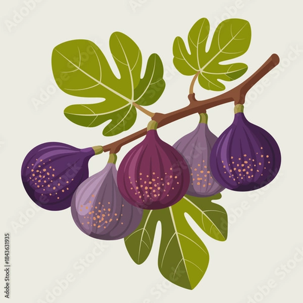 Fototapeta This delightful illustration features a branch of ripe figs nestled among bright green leaves, celebrating the richness of nature and the allure of fresh produce.