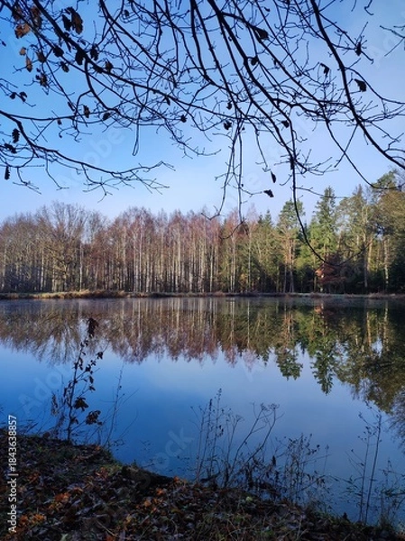 Fototapeta Waldsee