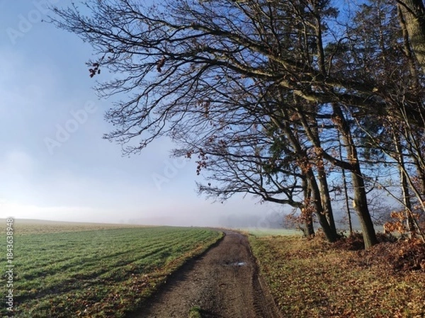 Fototapeta Nebellandschaft
