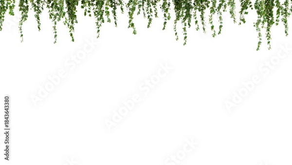 Obraz Green Ivy Border - Top Frame with Hanging Leaves