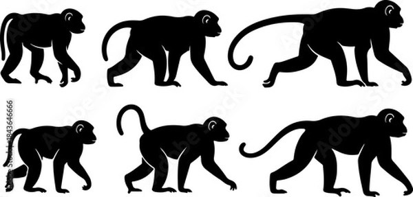Obraz Monkey Silhouette Collection – Primate Poses Black Vector Set
