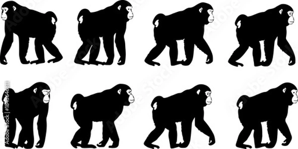 Obraz Monkey Silhouette Collection – Primate Poses Black Vector Set