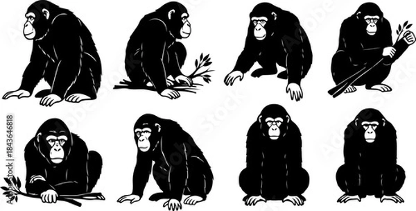Obraz Monkey Silhouette Collection – Primate Poses Black Vector Set