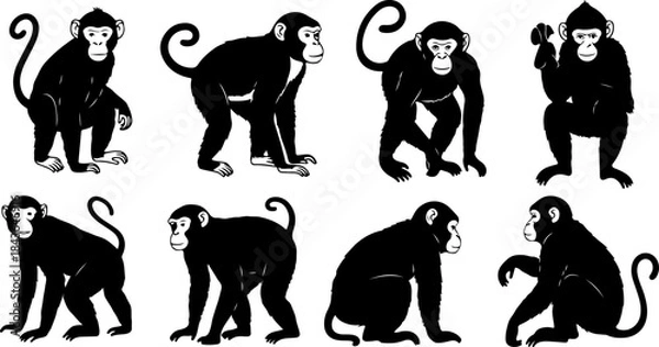 Obraz Monkey Silhouette Collection – Primate Poses Black Vector Set