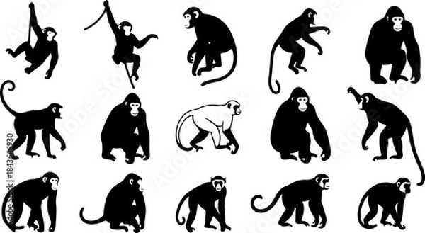Obraz Monkey Silhouette Collection – Primate Poses Black Vector Set