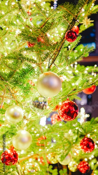 Obraz クリスマス