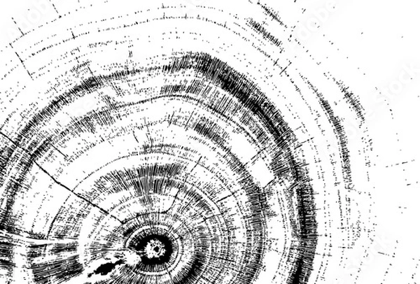 Obraz Empty black background with transparent elements and space for text