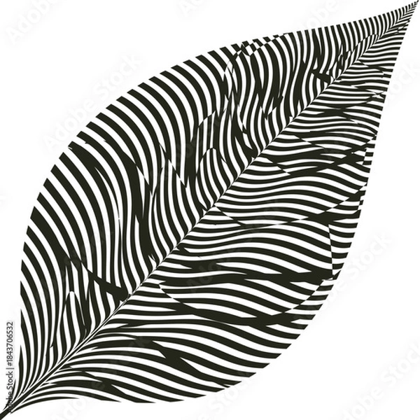 Obraz Abstract Black and White Leaf Pattern Design.