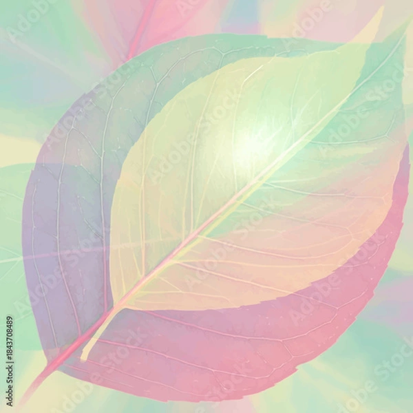 Obraz Delicate Skeletonized Leaf with Pastel Hues.