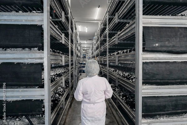 Obraz Worker woman in a white coat and cap stands and looks at the shelves in the mushroom cellar. Concept image of a person in a work environment.