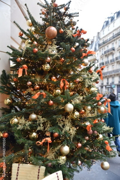 Obraz  Sapin de Noël en décembre