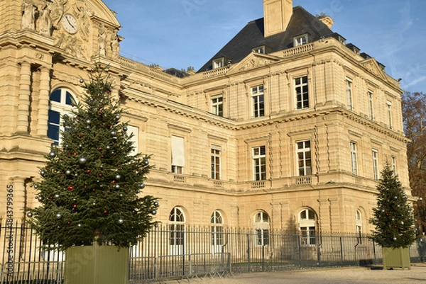 Obraz Palais du Luxembourg à Noël à Paris