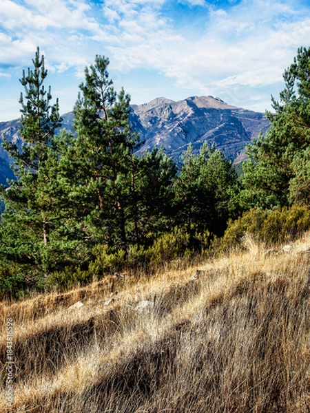 Obraz Cuerda de La Pinilla