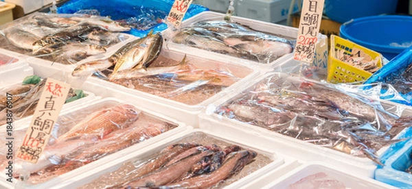 Fototapeta 水産市場に並ぶ鮮魚の販売陳列風景
