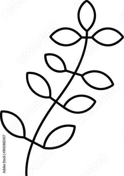 Obraz daisy stem icon outline vector illustration on transparent background